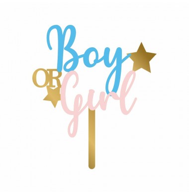 CAKE TOPPER BOY OR GIRL